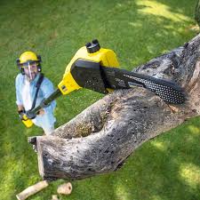 Lawn Pest Prevention in Cherry Valley, IL